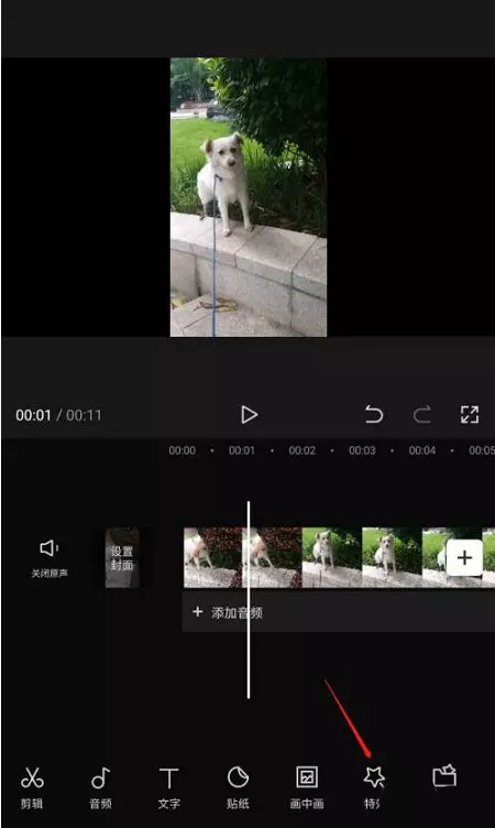图片[2]-剪映如何添加动态格特效剪映添加动态格特效的方法-自媒星球