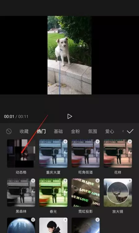 图片[4]-剪映如何添加动态格特效剪映添加动态格特效的方法-自媒星球