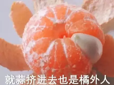 网络用语橘外人是什么梗-自媒星球