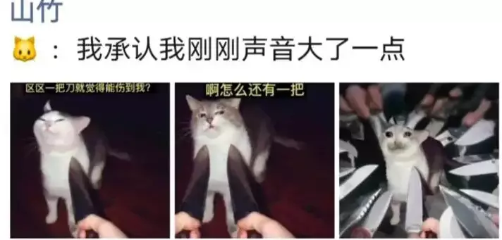网络用语我承认我刚才说话声音有点大是什么梗-自媒星球