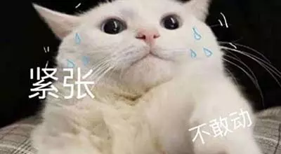 网络用语ssfd是什么梗-自媒星球