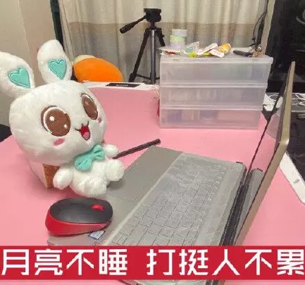 网络用语双11打挺人是什么梗-自媒星球