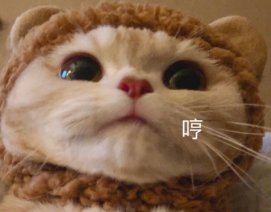 《抖音》我的发是什么梗-自媒星球