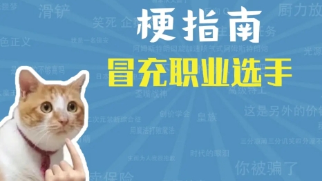 网络用语冒充职业选手是什么梗-自媒星球