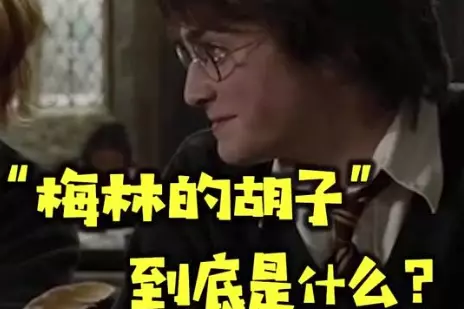 网络用语梅林的胡子是什么梗-自媒星球
