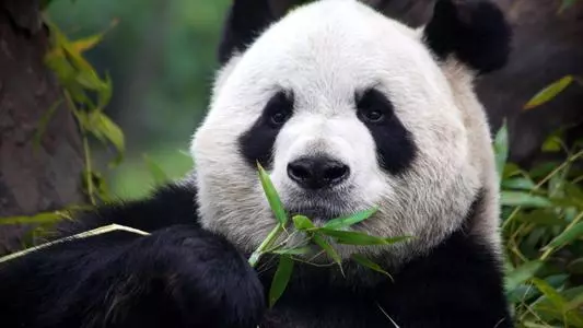 网络用语把笋都夺完了是什么梗-自媒星球