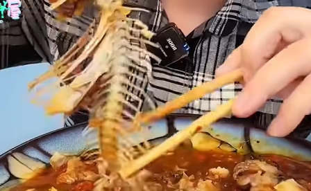 网络用语速食主义者是什么梗-自媒星球