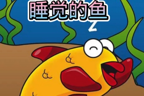 网络用语会睡觉的鱼是什么梗-自媒星球