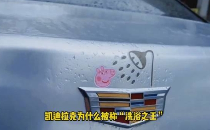 网络用语凯迪拉克洗浴王是什么梗-自媒星球