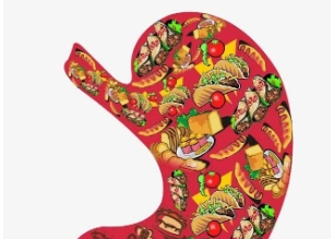 网络用语对胃了是什么梗-自媒星球