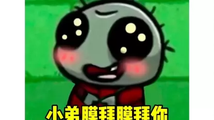 网络用语小弟膜拜膜拜膜拜你是什么梗-自媒星球