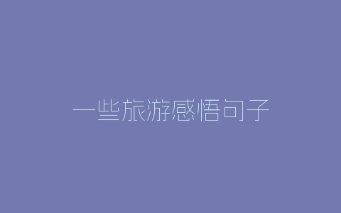 一些旅游感悟句子