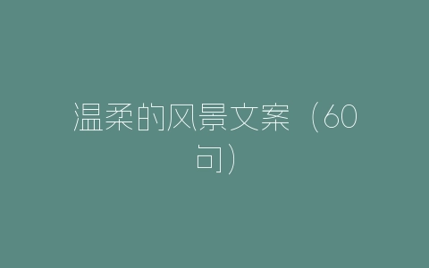 温柔的风景文案(60句)