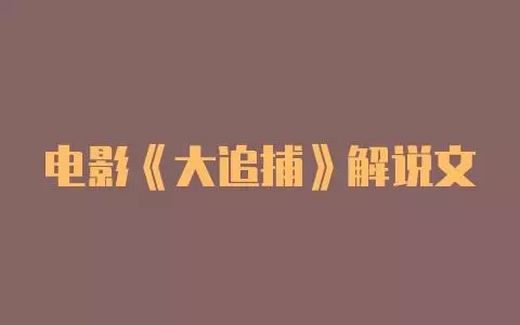 电影《大追捕》解说文案-自媒星球