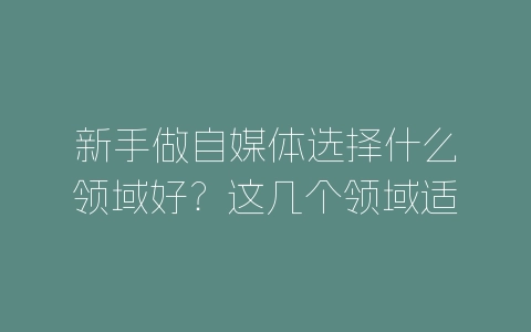 新手做自媒体选择什么领域好？这几个领域适合新手-自媒星球