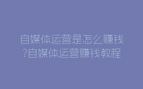 自媒体运营是怎么赚钱?自媒体运营赚钱教程-自媒星球
