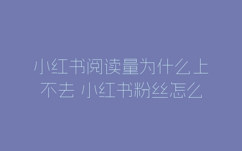 小红书阅读量为什么上不去 小红书粉丝怎么增加-自媒星球