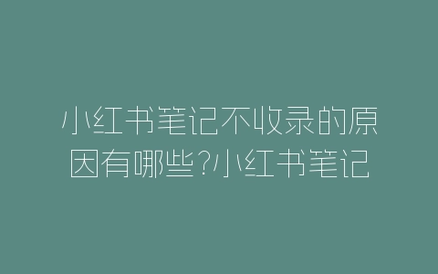 小红书笔记不收录的原因有哪些?小红书笔记不收录原因分析-自媒星球