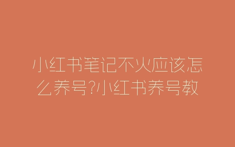 小红书笔记不火应该怎么养号?小红书养号教程分享-自媒星球