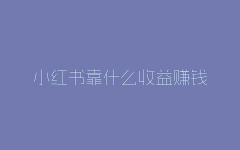 小红书靠什么收益赚钱-自媒星球