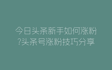 今日头条新手如何涨粉?头条号涨粉技巧分享-自媒星球