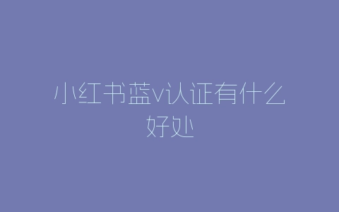 小红书蓝v认证有什么好处-自媒星球