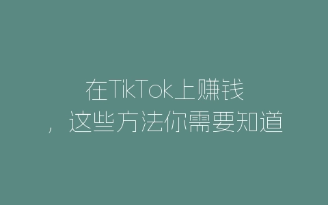 在TikTok上赚钱，这些方法你需要知道-自媒星球
