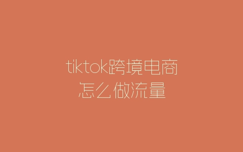 tiktok跨境电商怎么做流量-自媒星球
