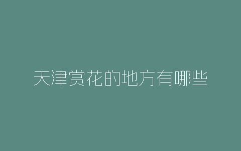 天津赏花的地方有哪些-自媒星球
