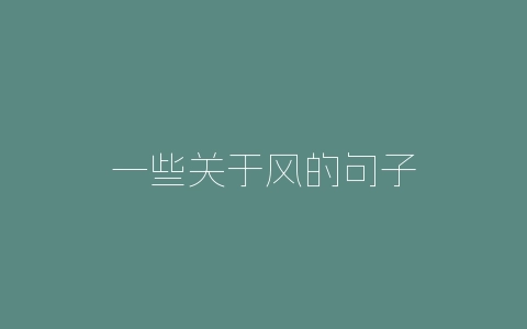 一些关于风的句子-自媒星球