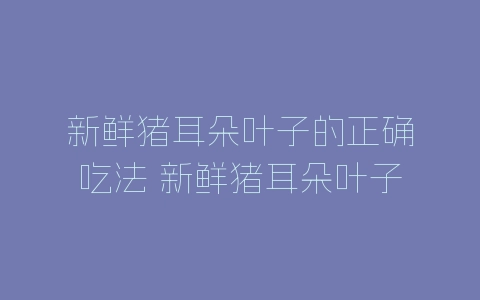 新鲜猪耳朵叶子的正确吃法 新鲜猪耳朵叶子的做法-自媒星球