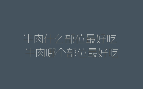 牛肉什么部位最好吃 牛肉哪个部位最好吃-自媒星球